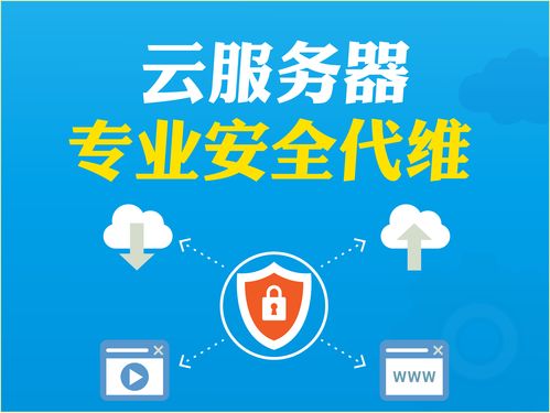 阿里云云市場 云服務(wù)器代維與數(shù)字文化創(chuàng)意內(nèi)容應(yīng)用服務(wù)